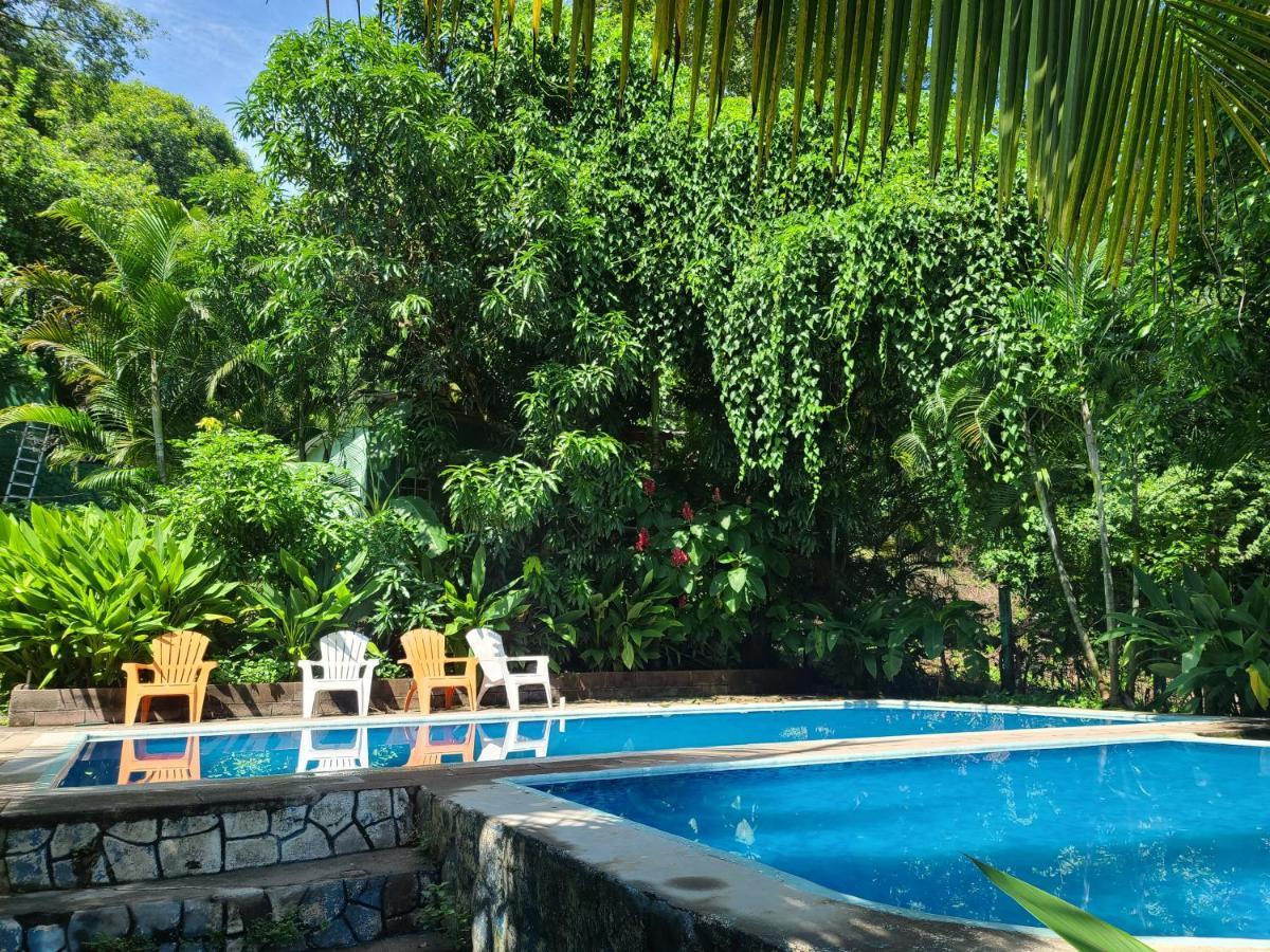 Hammock Plantation Hostel El Zonte Buitenkant foto